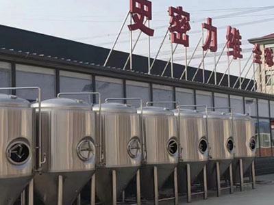 宜章精酿啤酒设备厂—市场规模与跨界新需求
